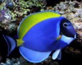 /album/foto%c4%9fraflar%3a-anasayfa/imagescamis4bt-jpg1/